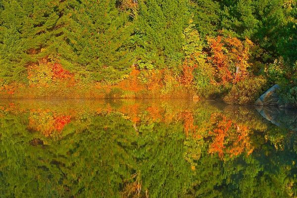 Canada-Ontario-Sudbury Autumn colors reflect in Lake Laurentian at sunrise